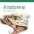 Sobotta Lehrbuch Anatomie: Mit StudentConsult-Zugang -